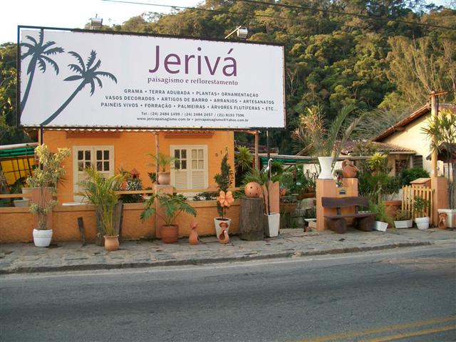 Jerivá